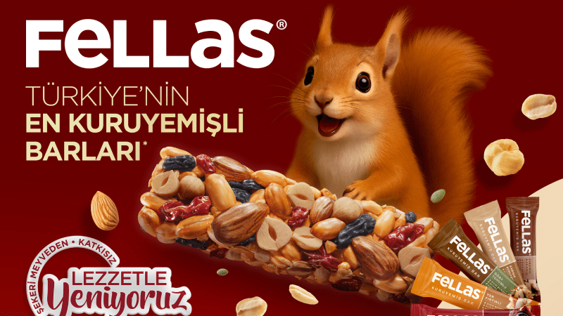 Sincaplar neden şehre indi? Sincaplar neden şehre indi?