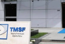 TMSF iki şirketi satışa çıkardı