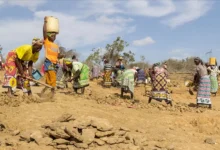 Afrika İklim Çözümleri Girişimi için Yılda 50 Milyar Dolar Toplamayı Hedefliyor