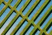 Rüzgar ve Güneşten Elektrik Üretimi Yükselişte
