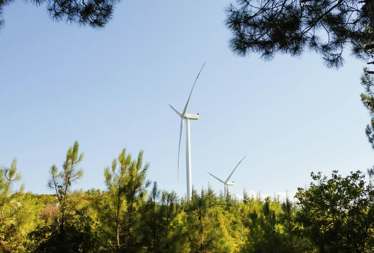 Trump Yüz Milyonlarca Dolarlık Rüzgar Enerjisi Fonunu İptal Etti Trump Yüz Milyonlarca Dolarlık Rüzgar Enerjisi Fonunu İptal Etti