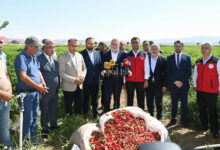Başkan Görgel; “Coğrafi İşaretli Maraş Biberimizin Hasadı Bereketli Olsun”