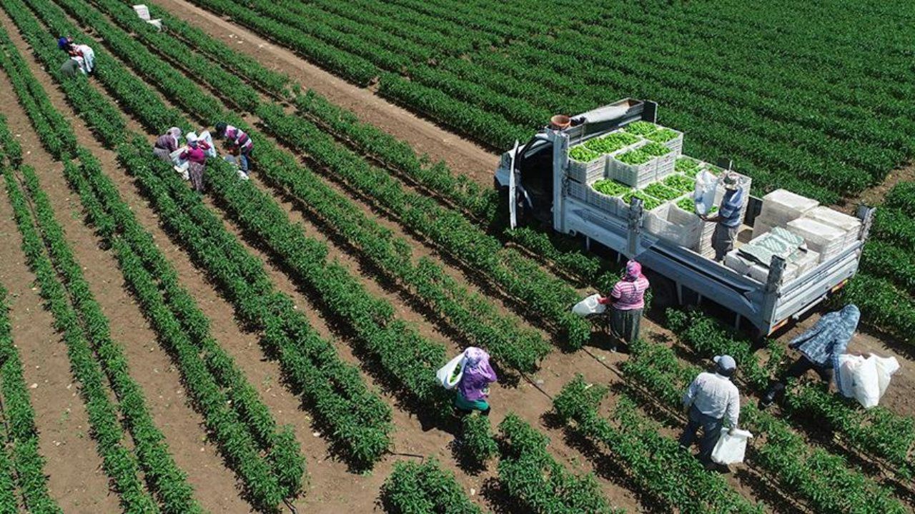 Tarımsal girdi fiyatları temmuzda yüzde 3,68 arttı Tarımsal girdi fiyatları temmuzda yüzde 3,68 arttı