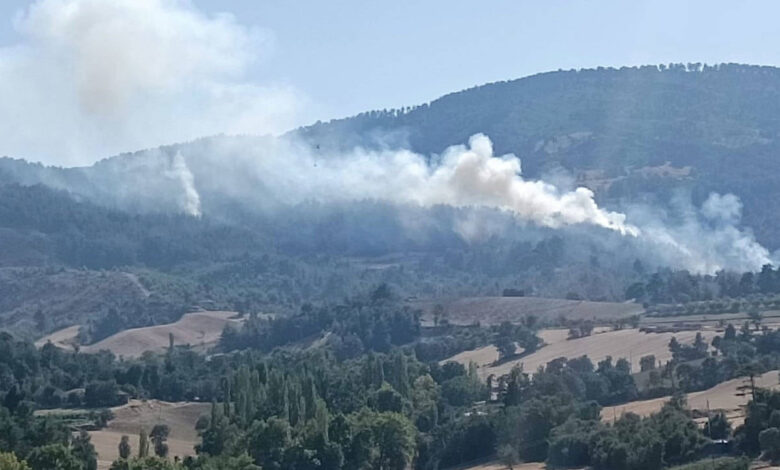 Denizli’de orman yangını! Ekipler müdahale ediyor