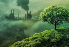 İklim mücadelesinin Truva atı: Greenwashing