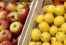 Limon ve elma ihracatına izin şartı getirildi