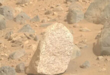Nasa, Mars’ta en net yaşamı buldu!