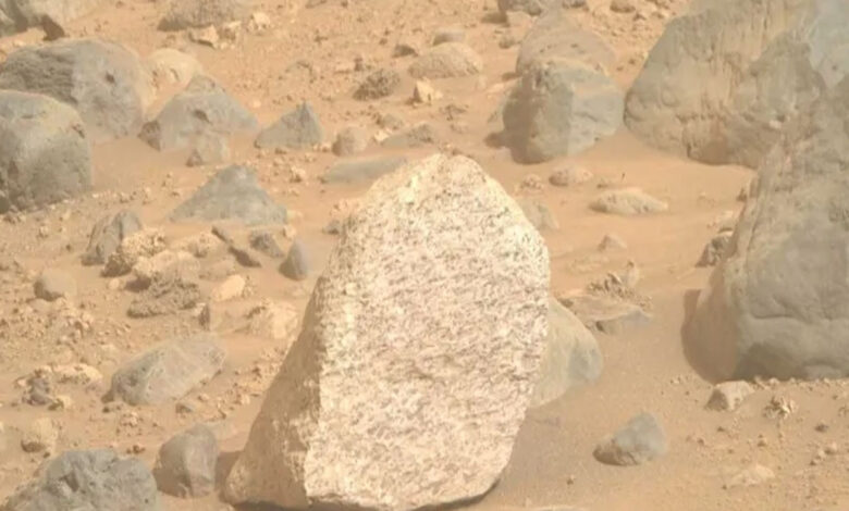 Nasa, Mars’ta en net yaşamı buldu!