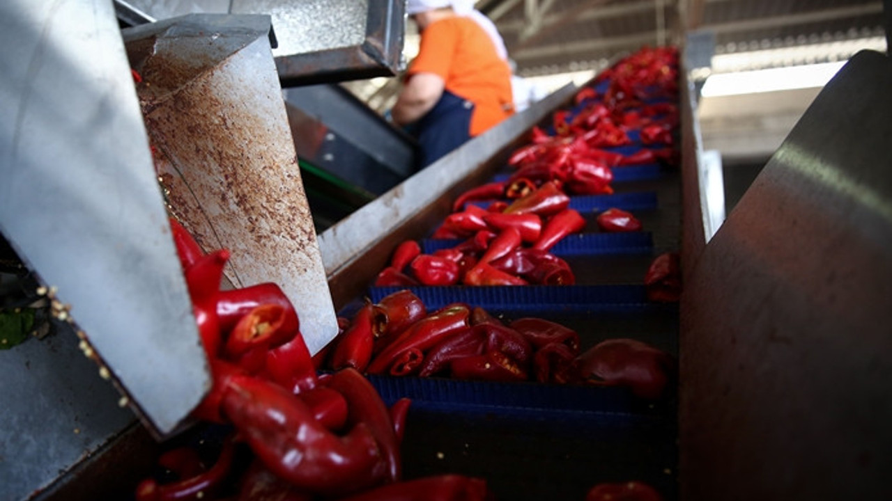 Orhangazi’den 100 ülkeye turşu ihracatı