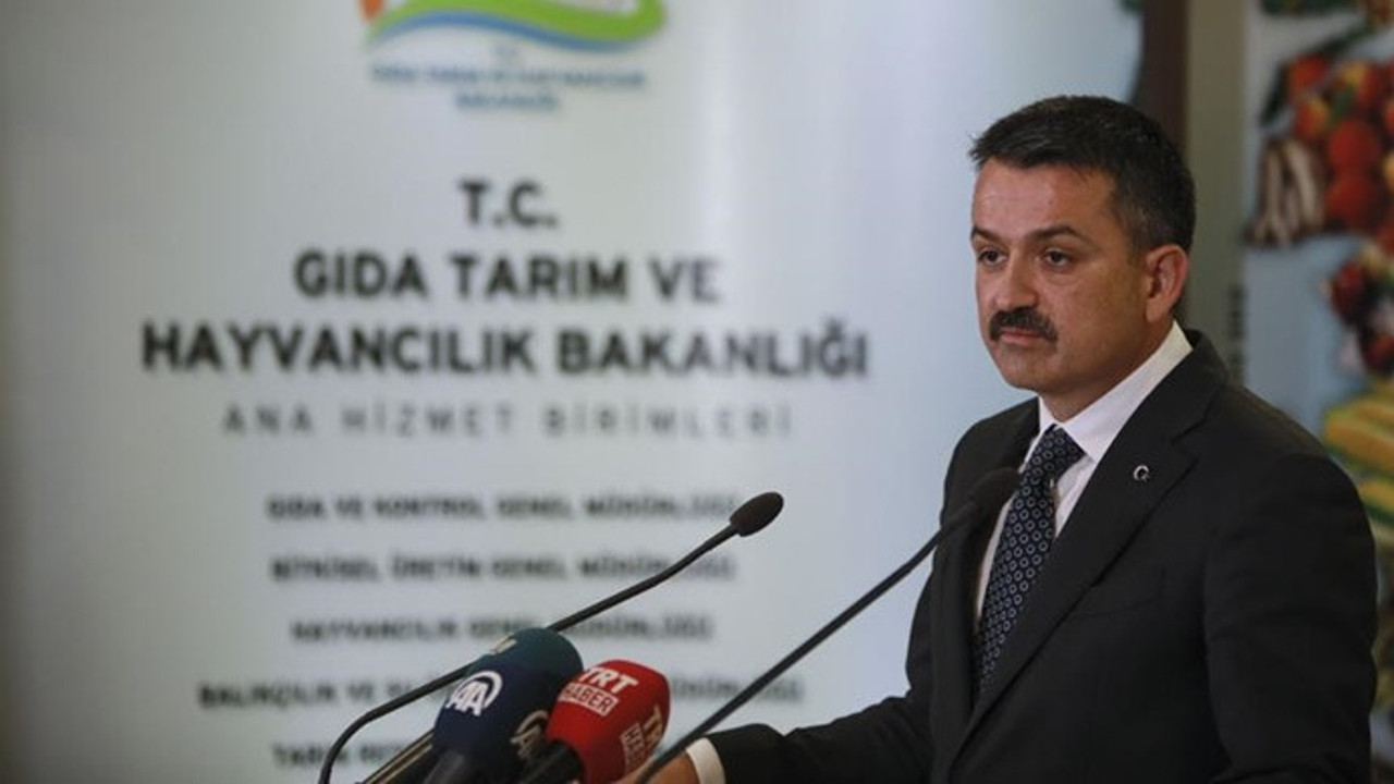Rusya’ya ‘ihracat’ çıkarması