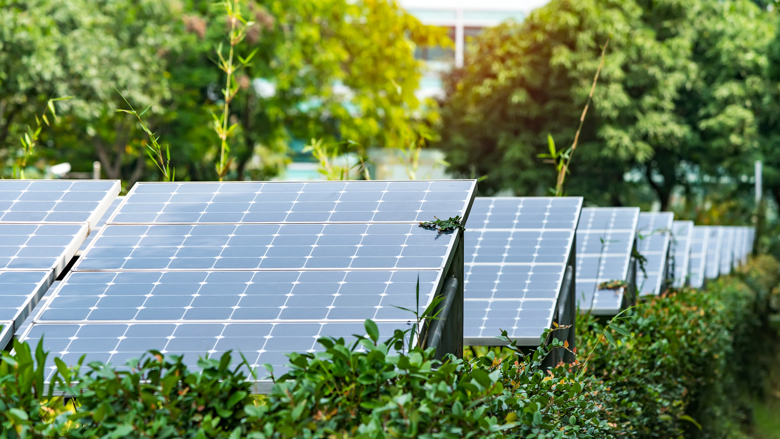 Rapor: Güneş enerjisi artık dünyanın en ucuz enerji kaynağı