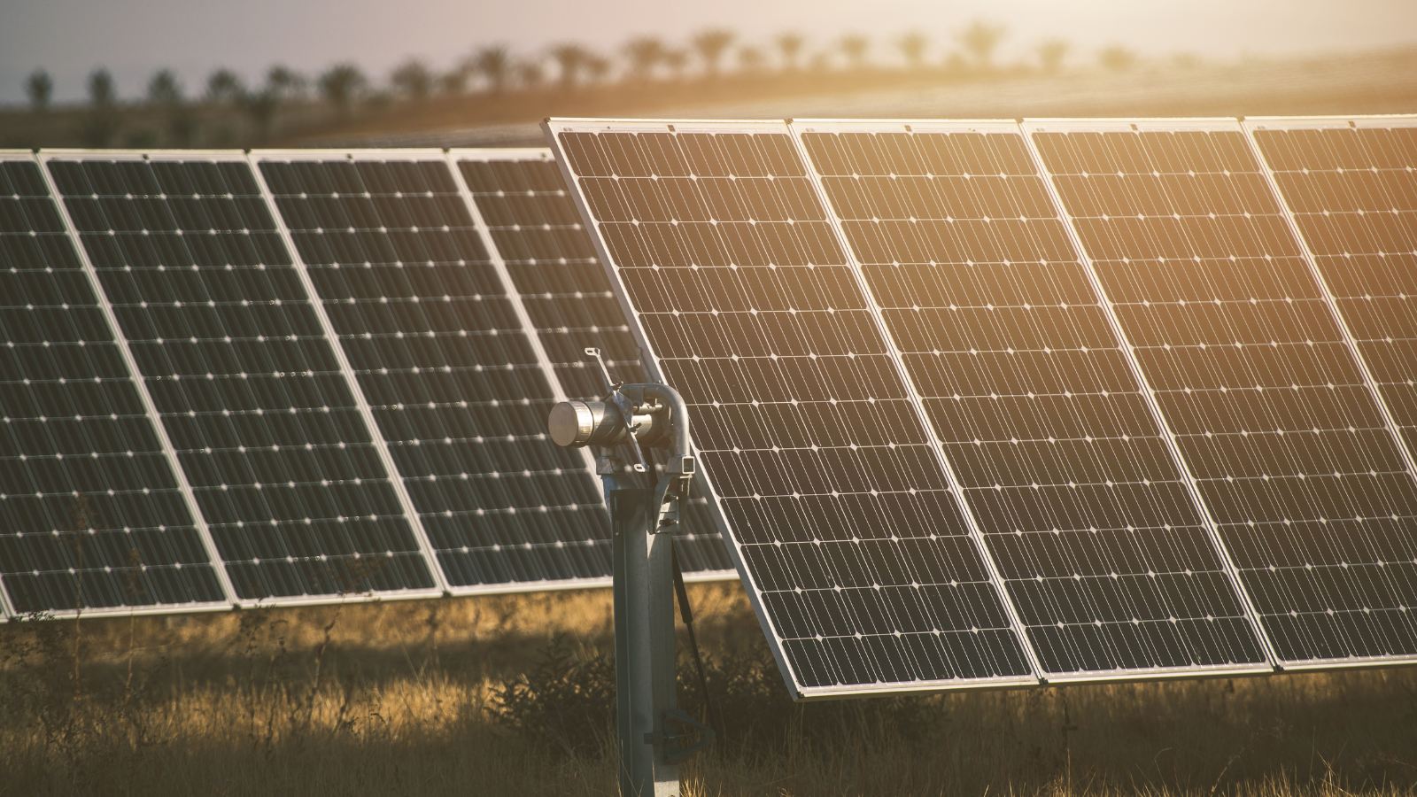 IEA: Güneş enerjisi, küresel yenilenebilir büyümenin itici gücü olacak IEA: Güneş enerjisi, küresel yenilenebilir büyümenin itici gücü olacak
