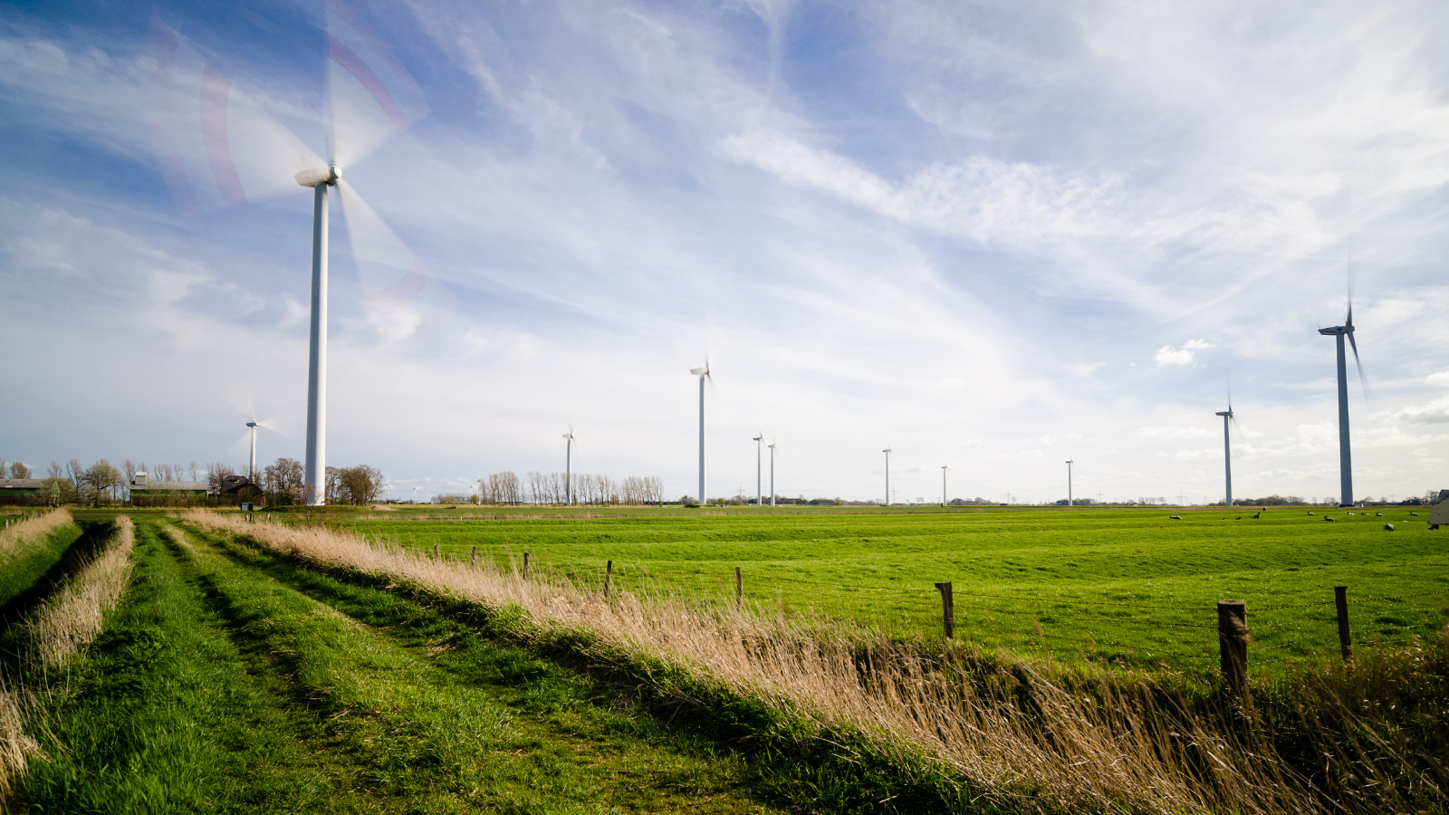 Yenilenebilir enerji İngiltere’de elektrik fiyatlarını yüzde 25’e kadar düşürebilir Yenilenebilir enerji İngiltere’de elektrik fiyatlarını yüzde 25’e kadar düşürebilir