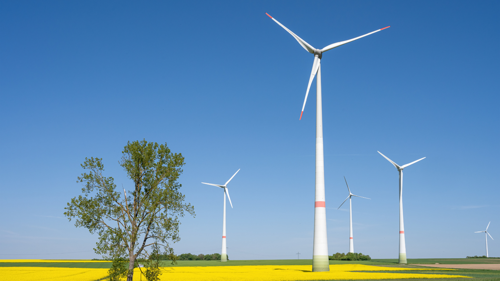 AB’nin yeşil enerji ürünleri ticaretinde rüzgâr türbinleri yükselişte