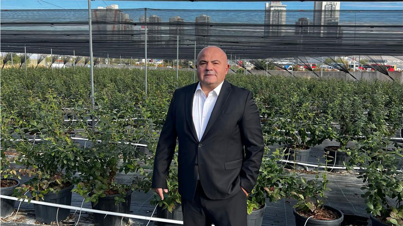 Mamak çöplüğü “blueberry” üretim yeri oldu