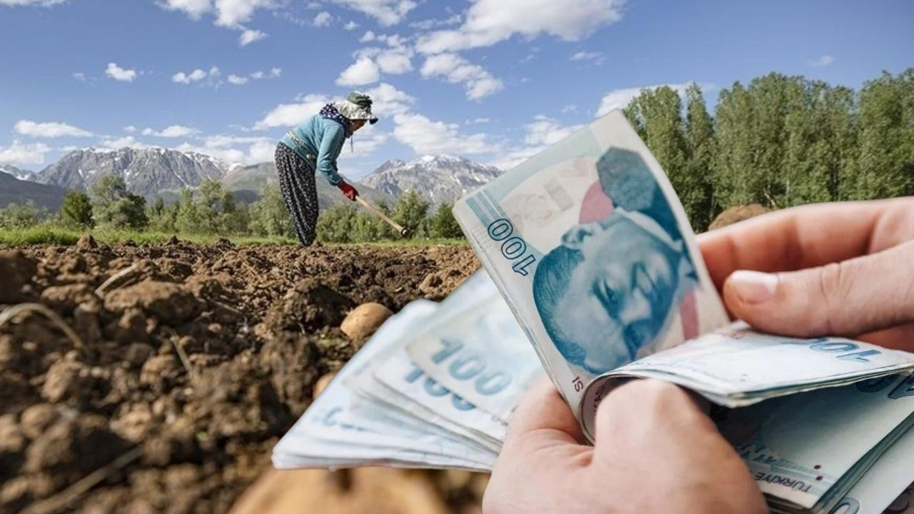 Çiftçilere 349 milyon liralık destek ödemesi bugün hesaplara geçiyor Çiftçilere 349 milyon liralık destek ödemesi bugün hesaplara geçiyor