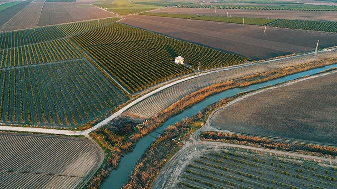 Küresel arazinin sadece %18’i korunuyor