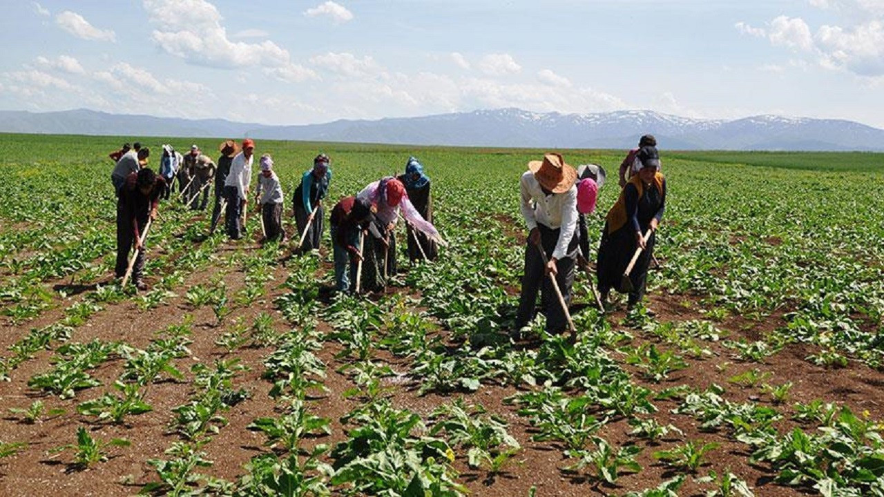TZOB Başkanı Bayraktar: Tarımda üretim maliyetleri düşürülmeli