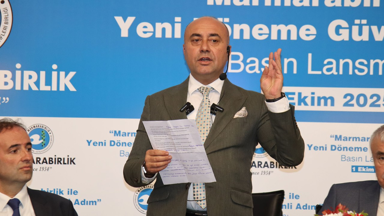Zeytinde rekolte beklentisi 170 bin ton, ihracatta hedef 70 milyon dolar Zeytinde rekolte beklentisi 170 bin ton, ihracatta hedef 70 milyon dolar