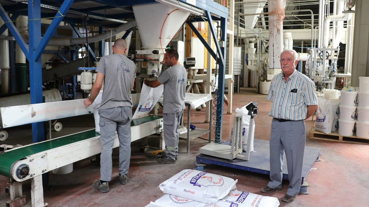 Yemi beğenmeyip fabrika kurdu; şimdi 6 ülkeye ihracat yapıyor Yemi beğenmeyip fabrika kurdu; şimdi 6 ülkeye ihracat yapıyor