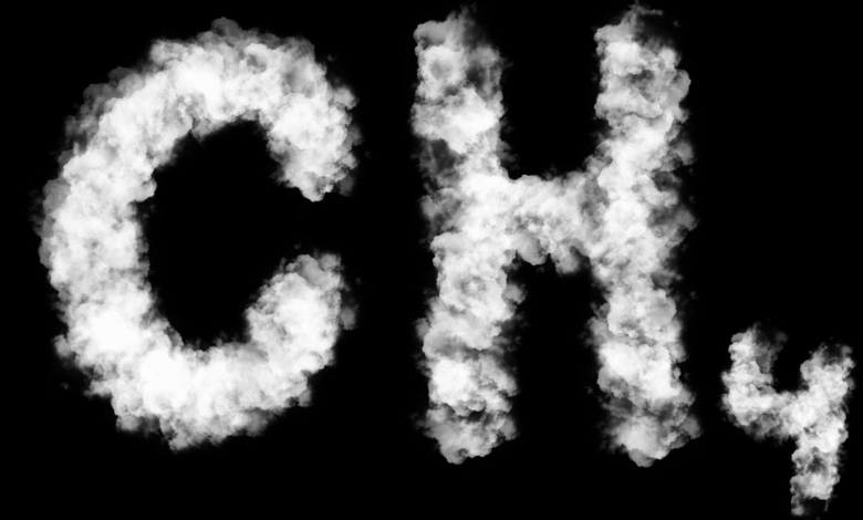 BM: Metan Emisyonlarındaki Azalma 2030 Hedefinin Gerisinde