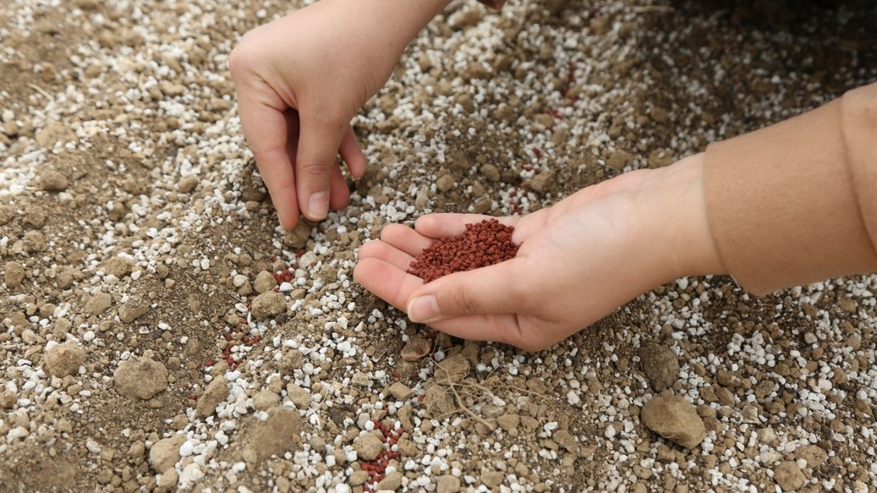 Konya Şeker, pancar testlerinde dünya liginde