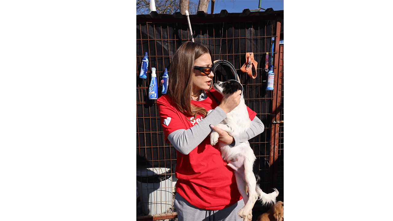 Serenay Sarıkaya, Akbank şehrin iyi hali gönüllüleriyle  yardıma muhtaç hayvanlar için buluştu