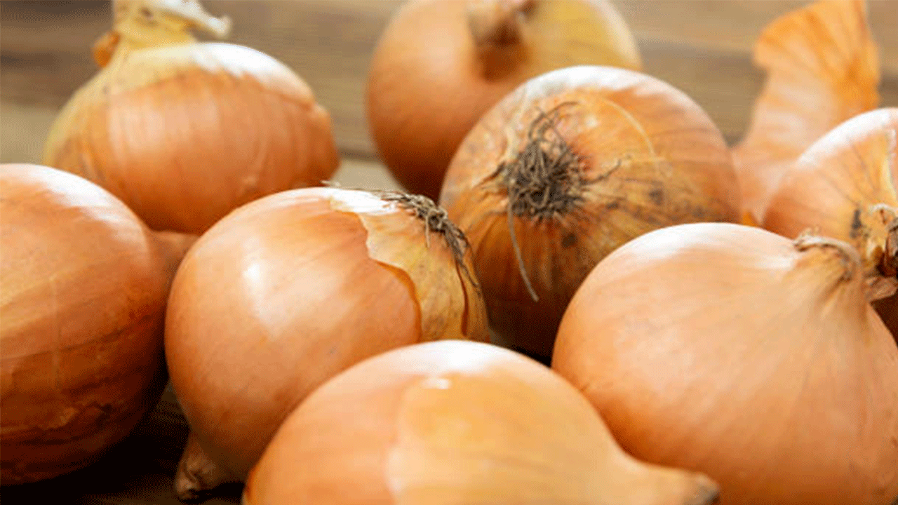 Soğan Üreticileri Zor Durumda: 800 Ton Ürün Tarlada Kaldı